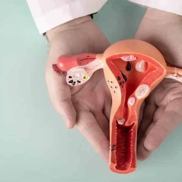 مزایای کولپورافی