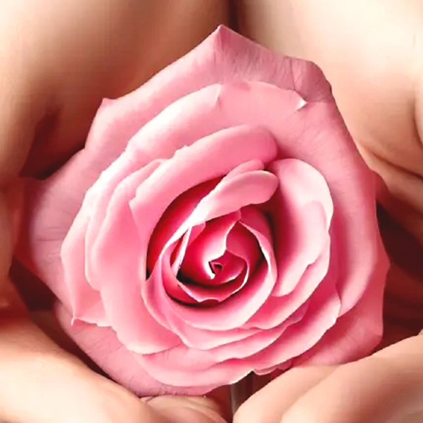 انواع کولپورافی
