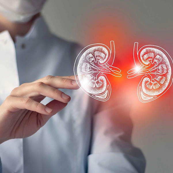 عفونت کلیه در بارداری (پیلونفریت) چیست ؟