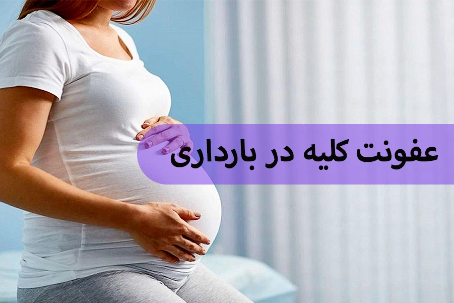 عفونت کلیه در بارداری
