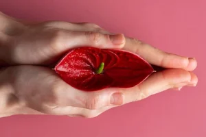 لیفت واژن چیست؟